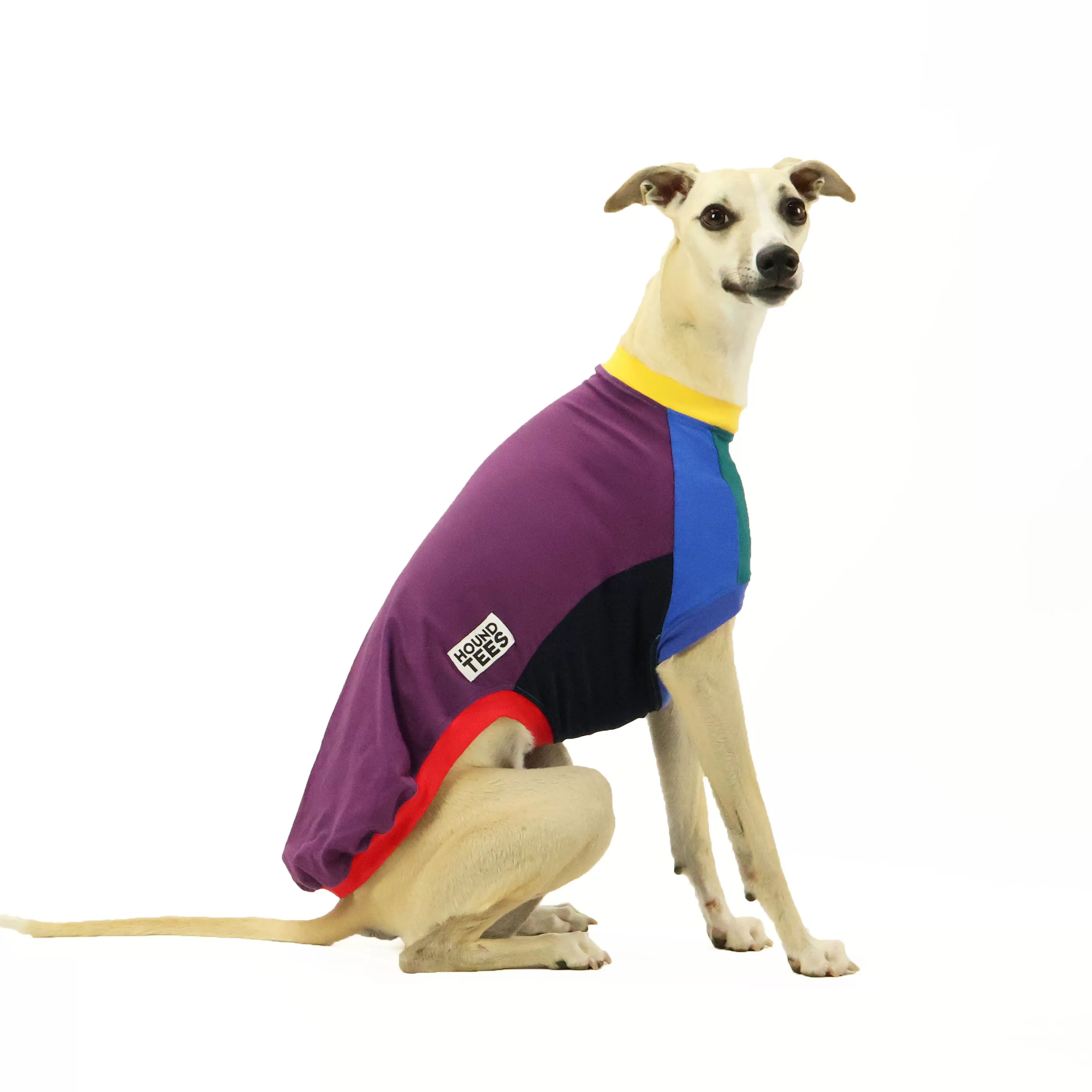 Frankie Jester Whippet Sleeveless Hound-Tee