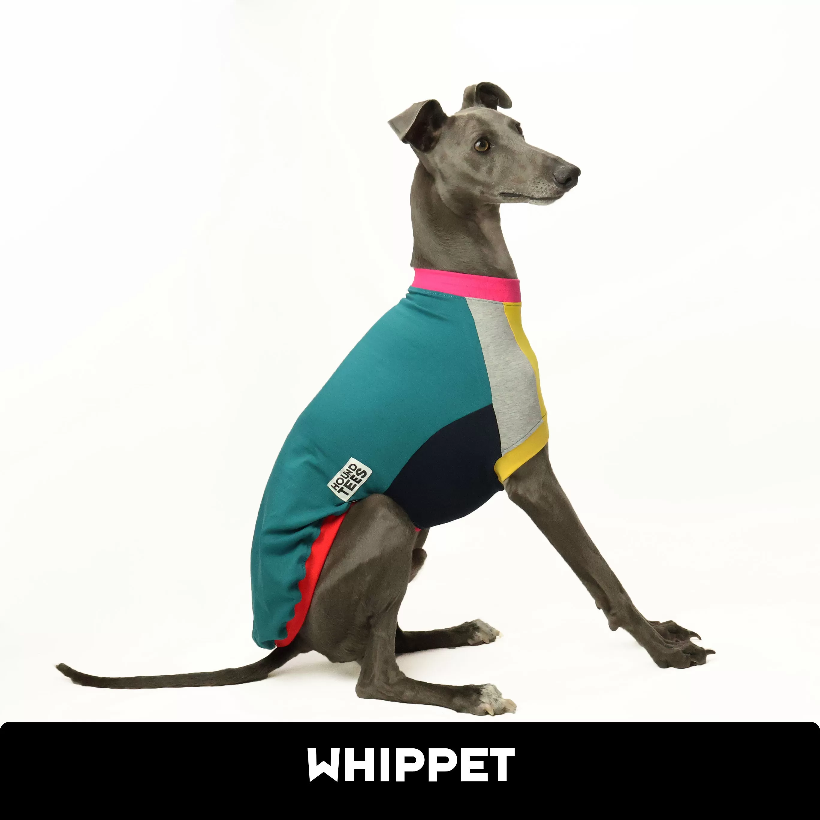 Frankie Jester Whippet Sleeveless Hound-Tee