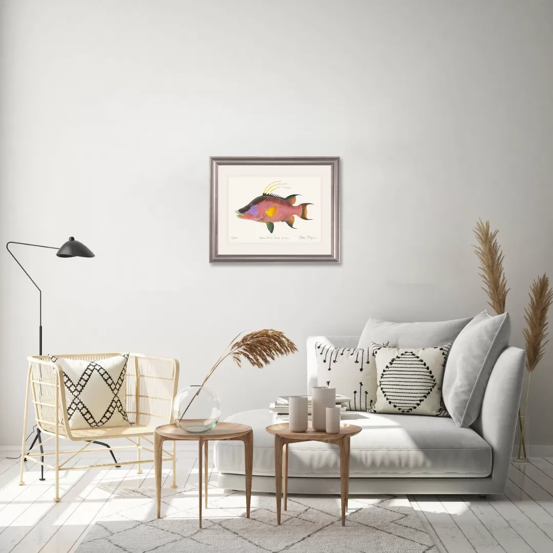 Hogfish Print