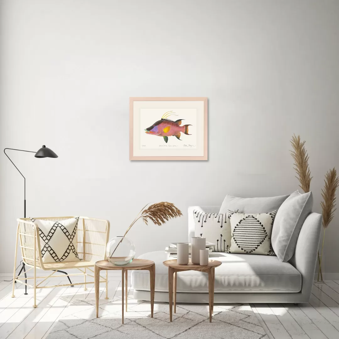 Hogfish Print