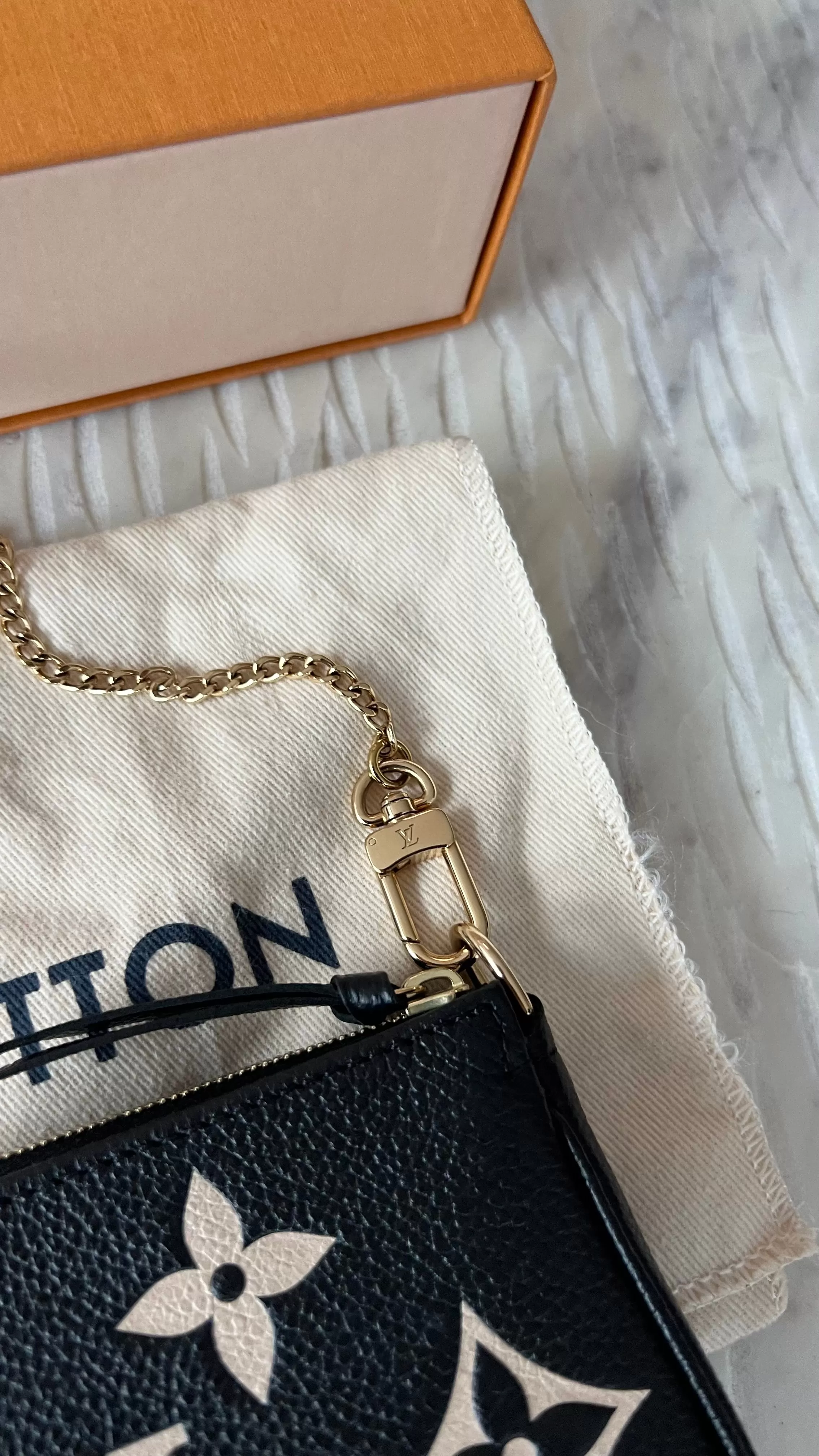 Louis Vuitton Mini Pochette Accessories Bag