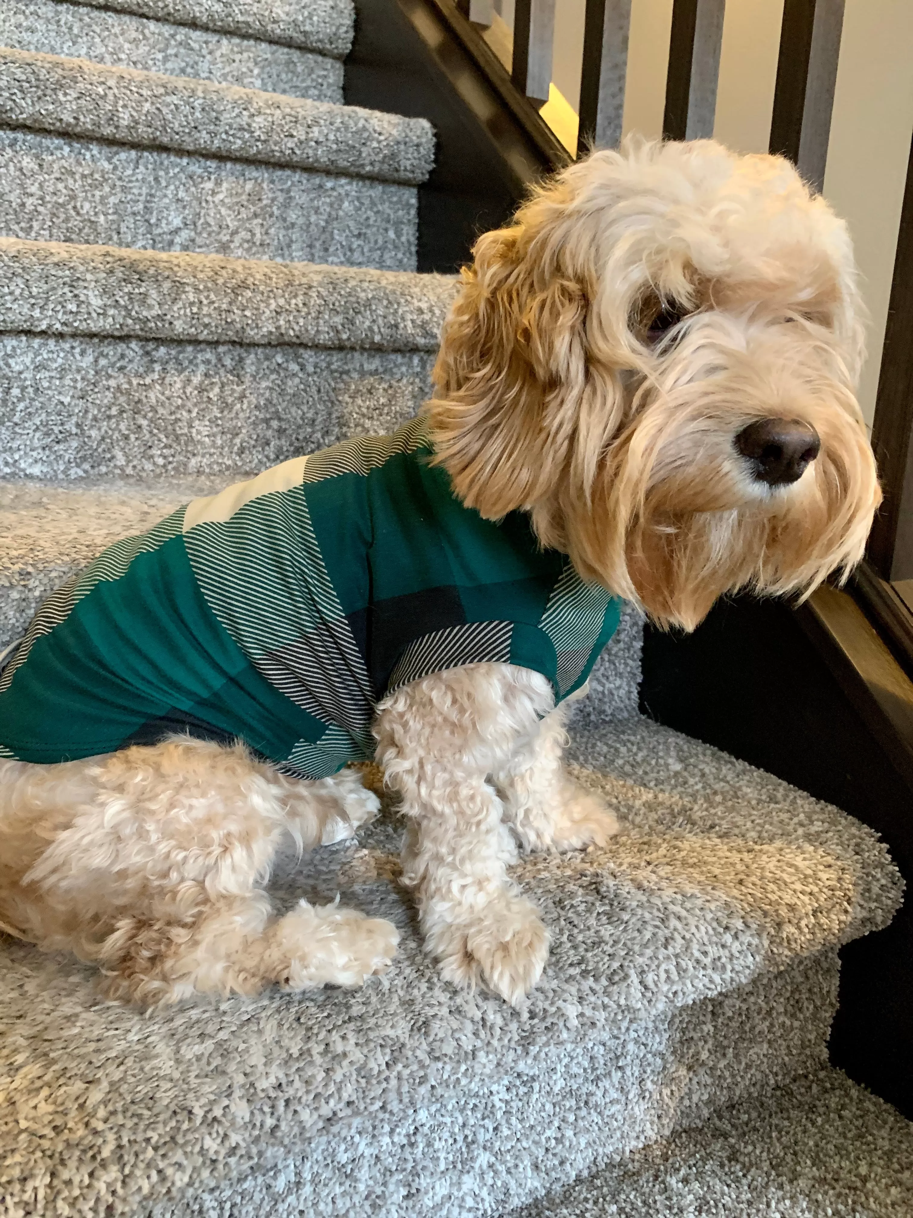 Pet Pullover PDF Sewing Pattern