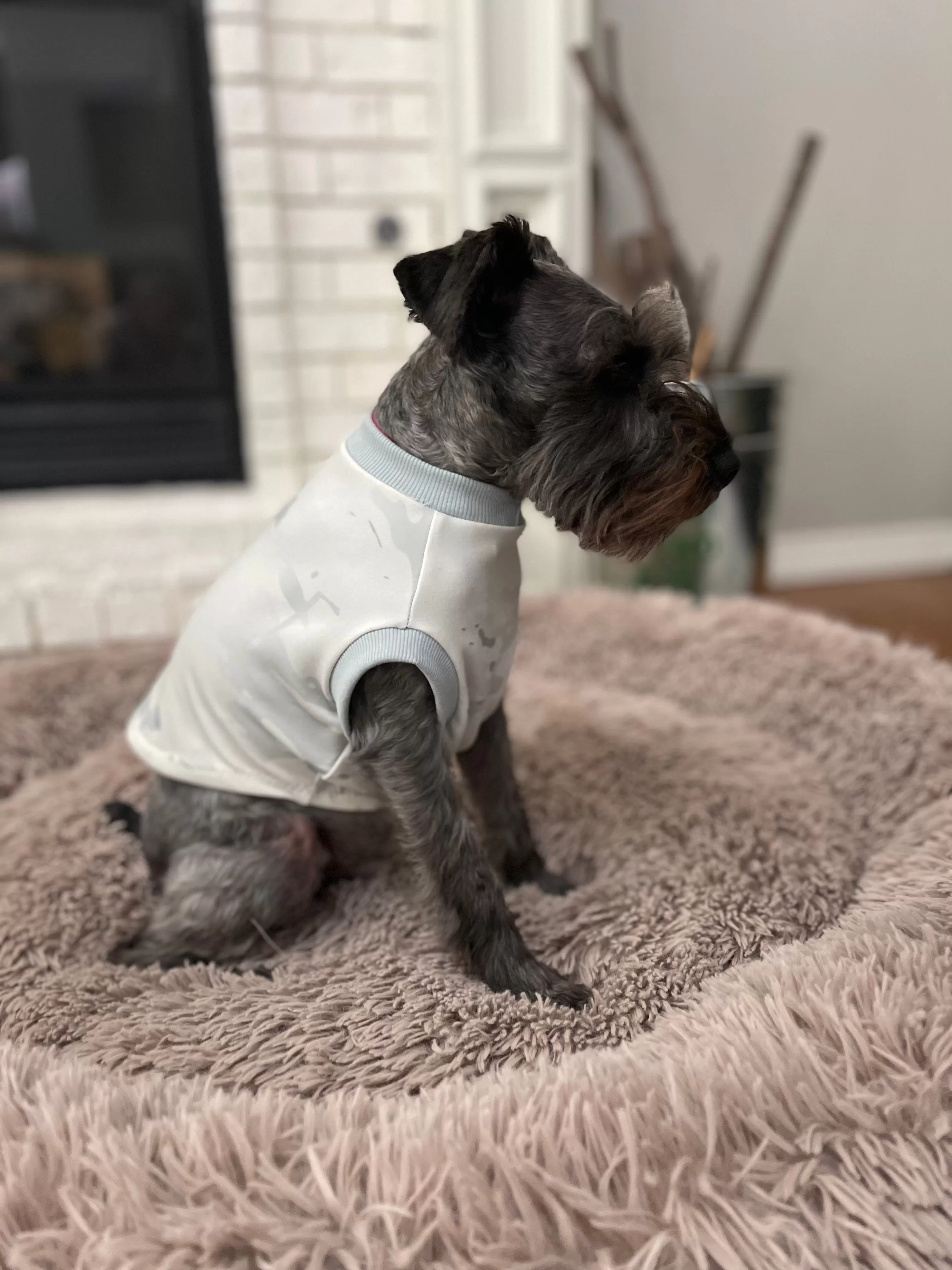 Pet Pullover PDF Sewing Pattern