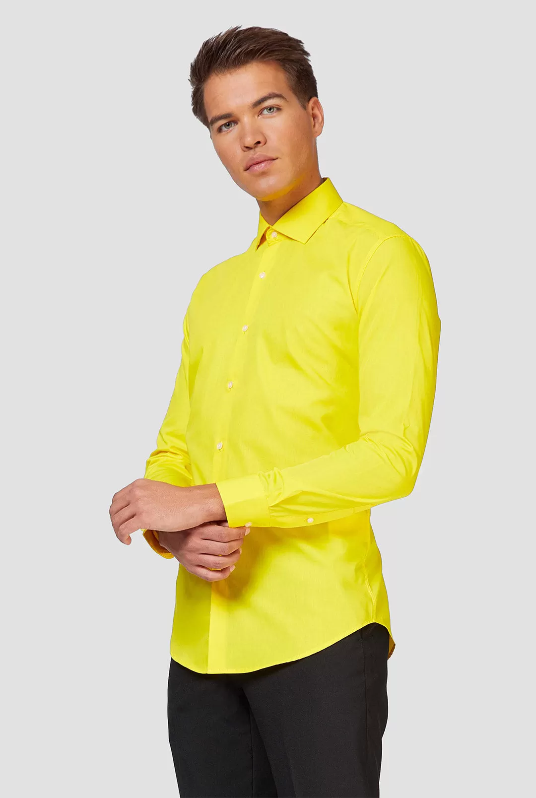 Yellow Fellow